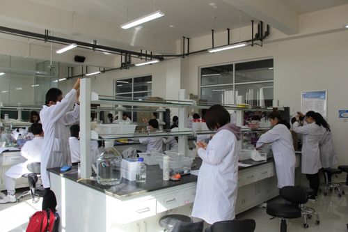 內(nèi)蒙古大學(xué)生物科學(xué)入選教育部基礎(chǔ)學(xué)科拔尖學(xué)生培養(yǎng)計劃2.0基地