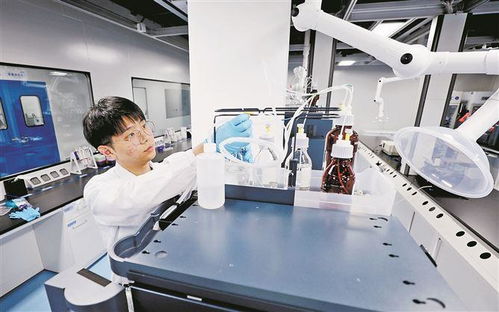 廈門布局建設(shè)首批聯(lián)合實(shí)驗(yàn)室 重點(diǎn)推動新興產(chǎn)業(yè)和未來產(chǎn)業(yè)領(lǐng)域布局建設(shè)