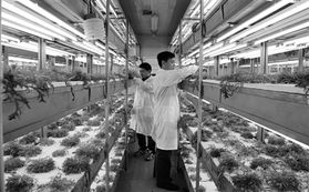 經(jīng)濟(jì)日?qǐng)?bào)多媒體數(shù)字報(bào)刊