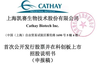 凱賽生物IPO:存在安全生產(chǎn)風(fēng)險(xiǎn),曾深陷專利糾紛,票據(jù)流轉(zhuǎn)、轉(zhuǎn)貸等違規(guī)不斷