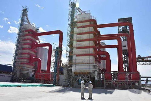 科創(chuàng)板的張江故事 六 凱賽生物 我國合成生物產(chǎn)業(yè)化第一股