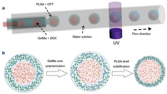 生物材料的多樣性和dds設計 藥物傳遞系統 ?？瘓D文詳解