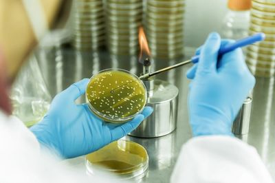 戰新產業&ldquo;百大工程&rdquo;|招商局集團領航生物基聚酰胺創新突破 打造生物經濟新引擎