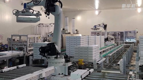 新華全媒 探訪大型 無(wú)人植物工廠