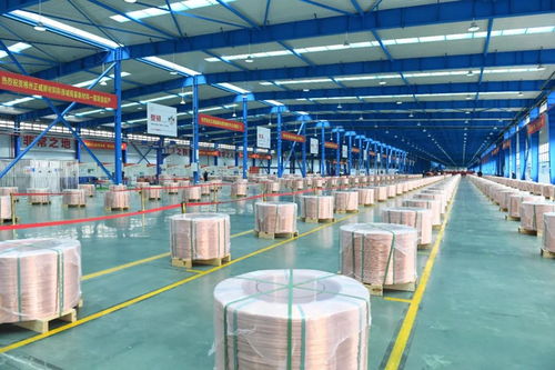 市州沖沖沖⑩ 郴州 郴 勢(shì)而上 蝶變進(jìn)位