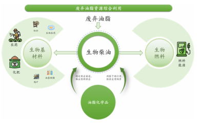 賣(mài)&ldquo;地溝油&rdquo;的準(zhǔn)獨(dú)角獸沖刺IPO了!