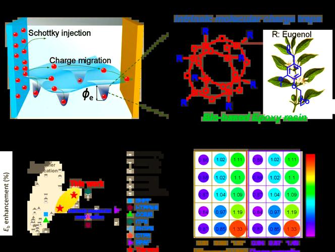 中科院寧波材料所劉小青團(tuán)隊(duì)研發(fā)環(huán)保型電工環(huán)氧樹脂