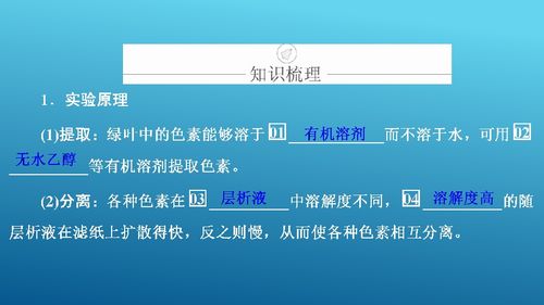 光與光合作用 從生命基礎到生物基材料技術研發(fā)的橋梁
